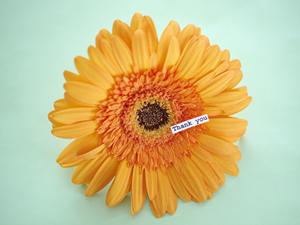 エルメスを買取ってほしいならココ