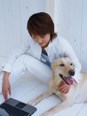 干物の種類と必要な環境などについて